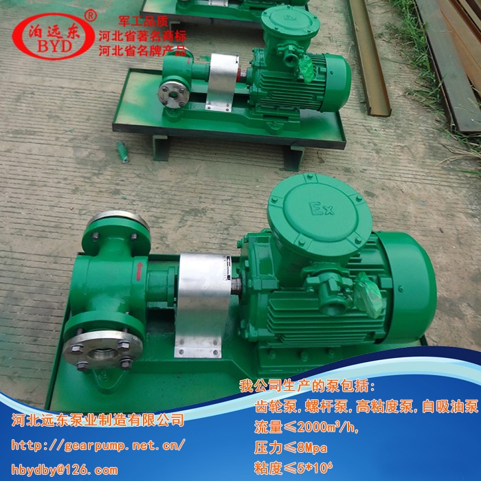 2CG渣油泵-河北遠東泵業(yè)制造有限公司